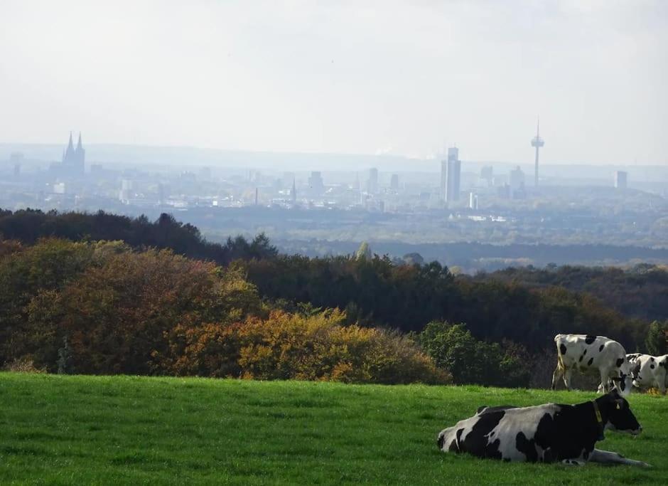 Neue 90 Qm 2-Zimmerwohnung Naehe Koeln Odenthal Buitenkant foto